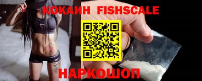 индика Сланцы