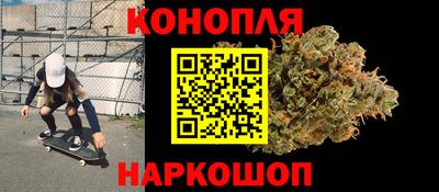 индика Сланцы