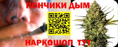 индика Сланцы