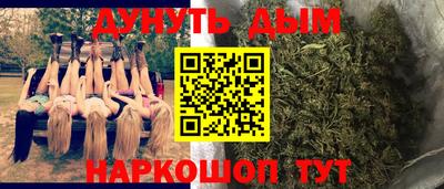 индика Сланцы