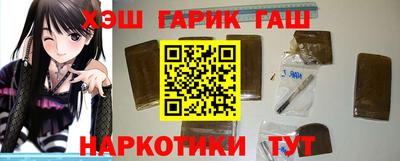 индика Сланцы
