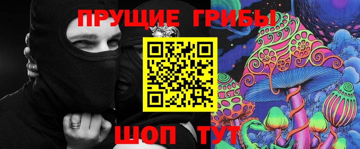 Псилоцибиновые грибы Psilocybe Рузаевка
